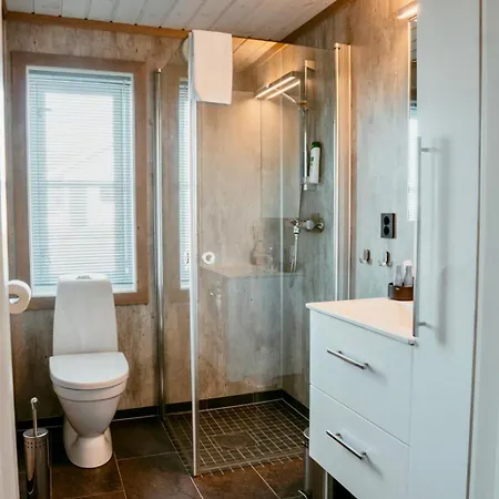 Spacious, Modern Lofoten Alpehytte *