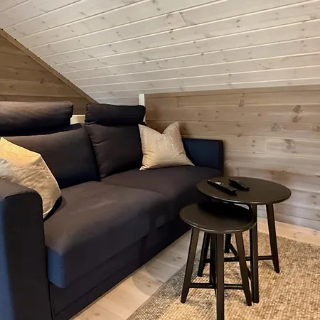 Alpehytte Spacious, Modern Lofoten *