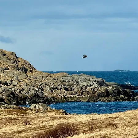 Spacious, Modern Lofoten