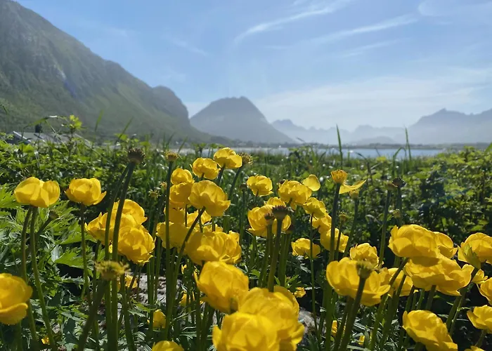 Spacious, Modern Lofoten Chalet