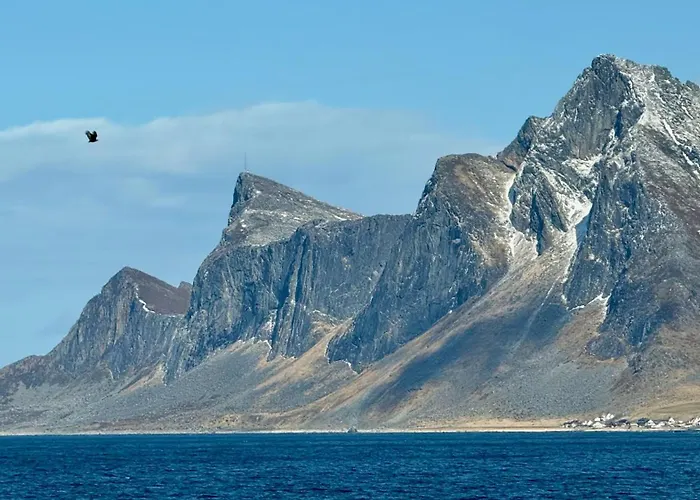 Spacious, Modern Lofoten *