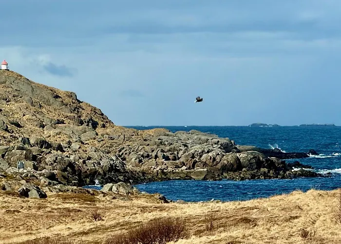 Spacious, Modern Lofoten