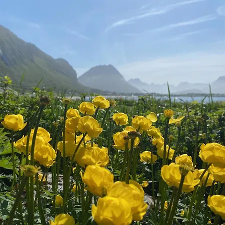 Spacious, Modern Lofoten شاليه