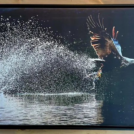 Spacious, Modern Lofoten