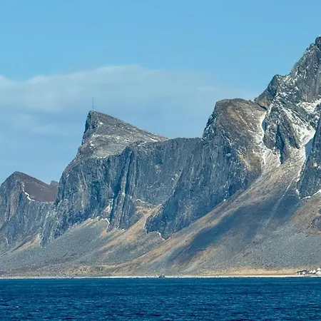 Spacious, Modern Lofoten *
